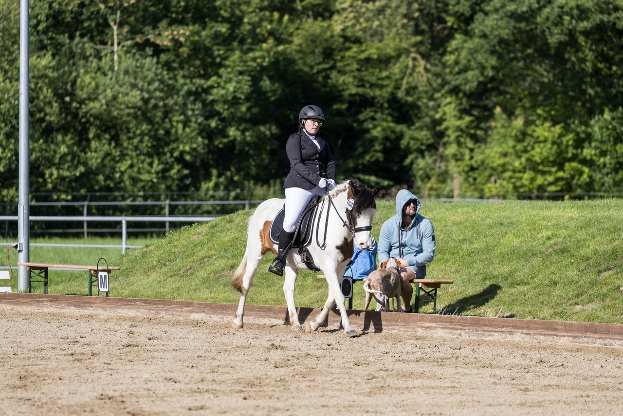 Bild 296 - Pony Akademie Turnier